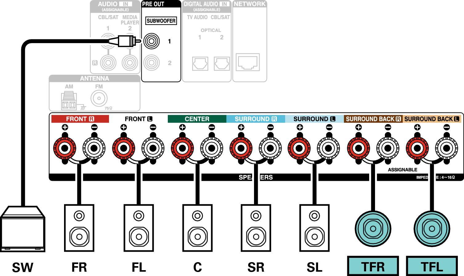Conne SP 7.1 TF X1200E2